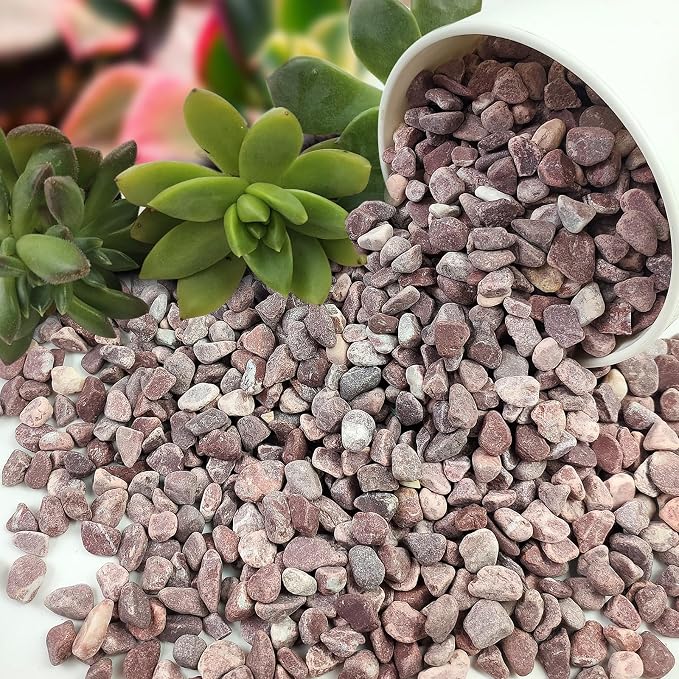 FANTIAN 2 lbs Succulent and Cactus Pebbles Gravel, 3/8 Inch Decorative Red - Image 8