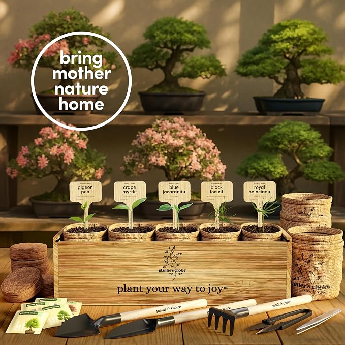 Planter's Choice Bonsai Tree Starter Kit - Image 5