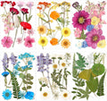 EBOOT 72 Pcs Dried Pressed Flowers by eBoot