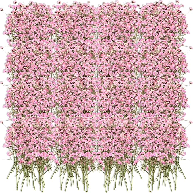 Tinideya 100 Pcs Dried Babys Breath Flowers Bulk Babys Breath Real Pressed by Tinideya
