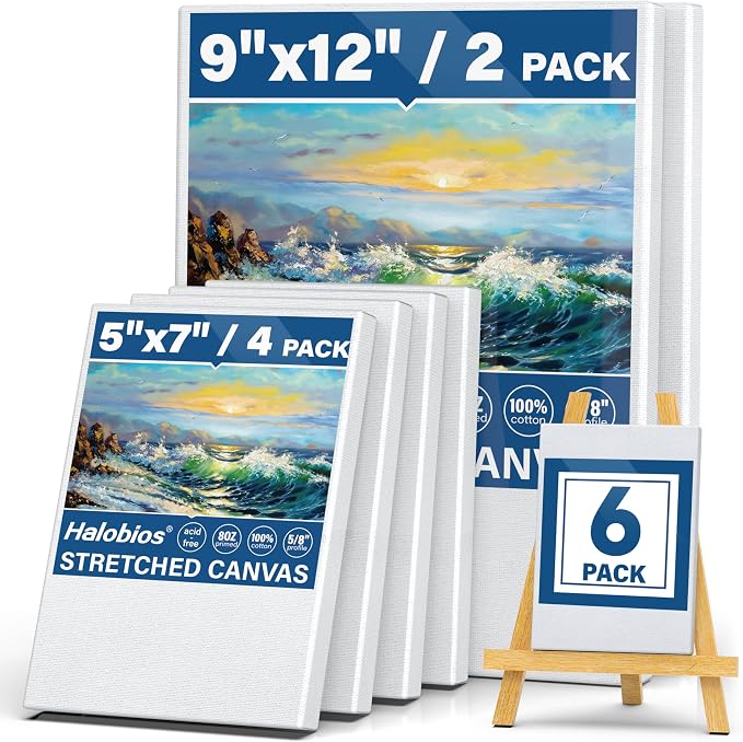 Halobios 6 Packs Stretched Canvases by Halobios