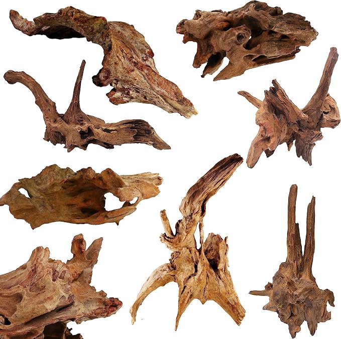 Azil Natural Driftwood 10'' - Image 5