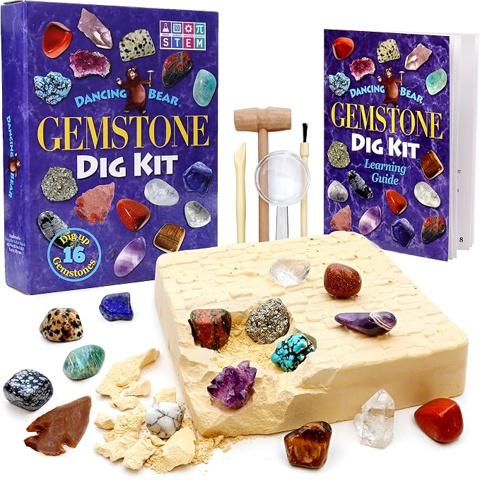 DANCING BEAR Gem stone Dig Kit, Excavate 16 Real Gems & Crystals including by DancingBear