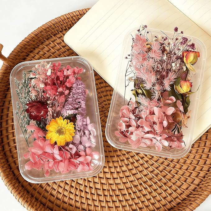 2PCS Dried Flowers Kit, Natural Dried Flowers Kit - Image 3