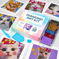 LuwoArte Painting Kit – Japanese Theme by LuwoArte