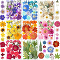 269PCS Dried Pressed Flowers for Resin Craft by YouthBro
