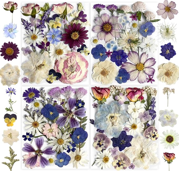 Purple Pressed Flowers 88Pcs Real Natural Dried by Unknown