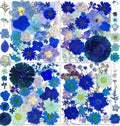 150PCS Blue Dried Pressed Flowers by YouthBro