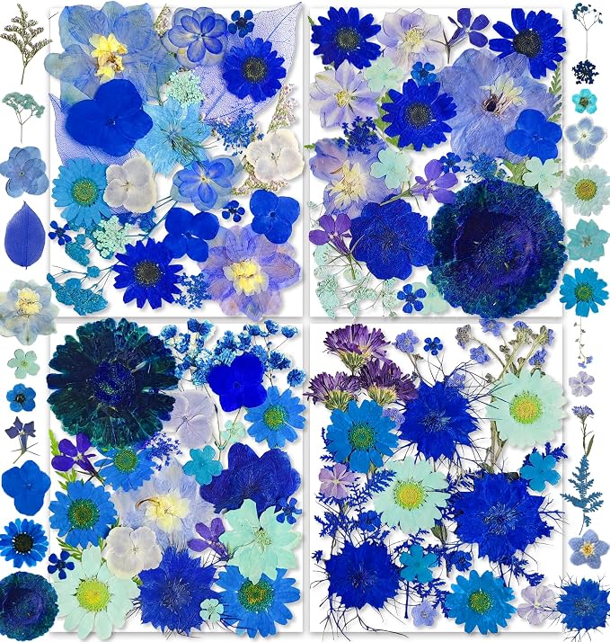 150PCS Blue Dried Pressed Flowers by YouthBro
