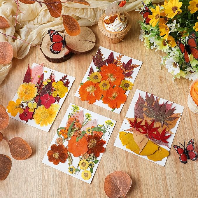 Nuanchu Fall Pressed Flowers Bulk Dried Flower - Image 3