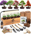 Bonsai Tree Kit Deluxe + Growing Light by Plantingseedsgrowingdreams