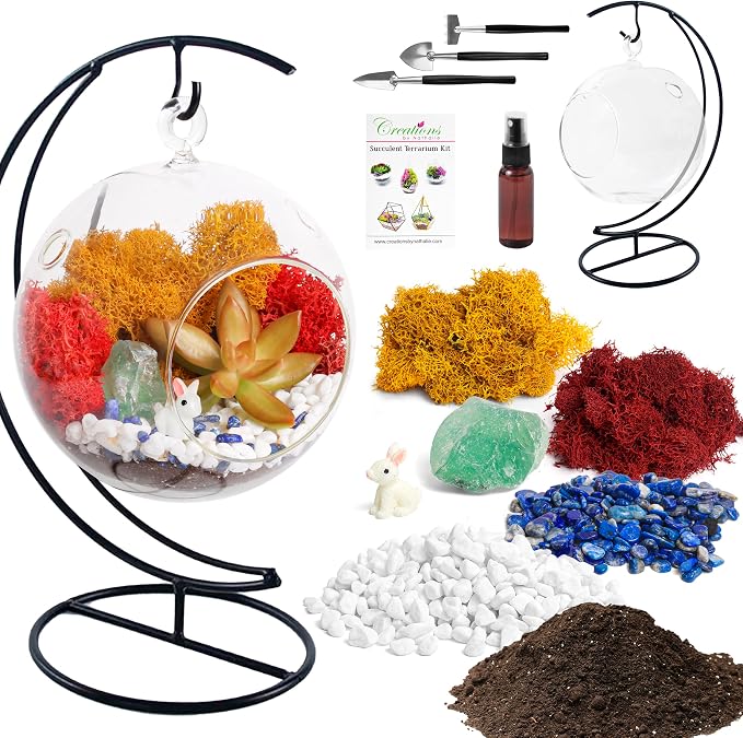 Creations by Nathalie DIY 5" DIY Globe Terrarium Kit - Image 2