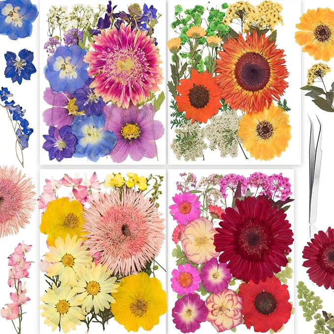 122PCS Large Nature Dried Pressed Flowers by YouthBro