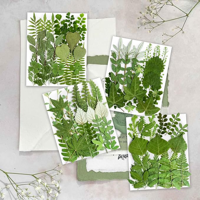 84Pcs Real Natural Dried Pressed Flowers & Green Leaves - Image 2