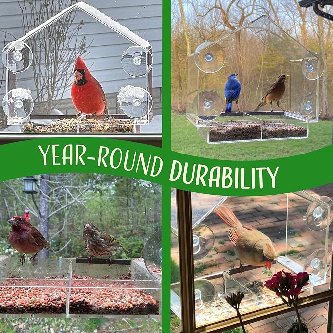 Window Bird Feeder with Strong Suction Cups, Balcony Glass Mount, Acrylic Cat - Image 4