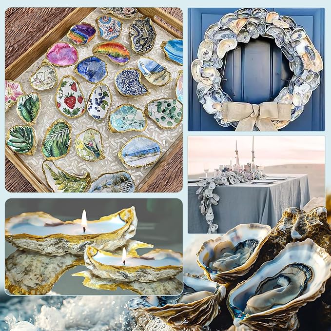 QICQDRAM 20PCS Flat Oyster Shells 2-3" Small Natural White Shells - Image 6