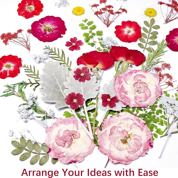 48 Pcs Mix Natural Dried Pressed Flowers - Image 6
