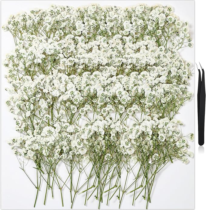 168Pcs Babys Breath Mini Dried Pressed Flowers by HLCYGJIN