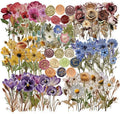 450 Pcs Flower Stickers for Scrapbook Supplies, Dried Pressed Flowers Scrapbook by SLAPAFLIFE