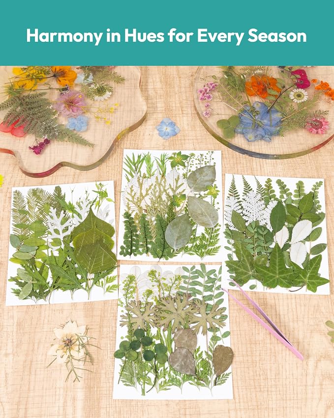 Resiners Dried Pressed Flowers for Resin Molds, Real Natural Dried Flowers Dry - Image 2