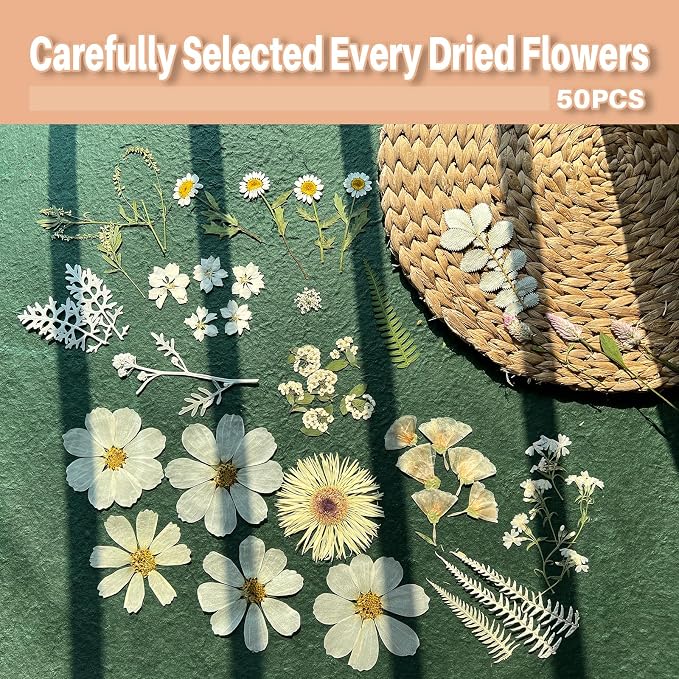 A4 Large Dried Pressed Flowers for Resin Pressed Flowers Real Dry Natural - Image 3