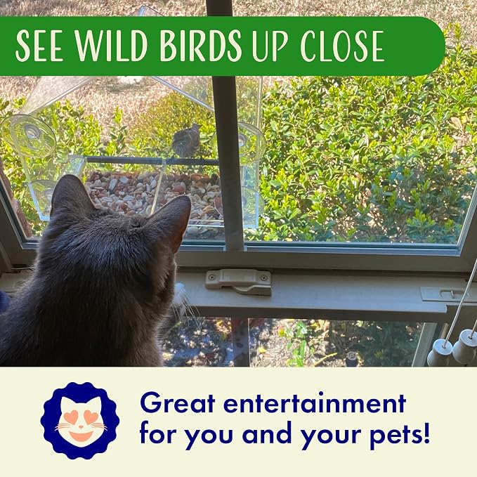 Window Bird Feeder with Strong Suction Cups, Balcony Glass Mount, Acrylic Cat - Image 6