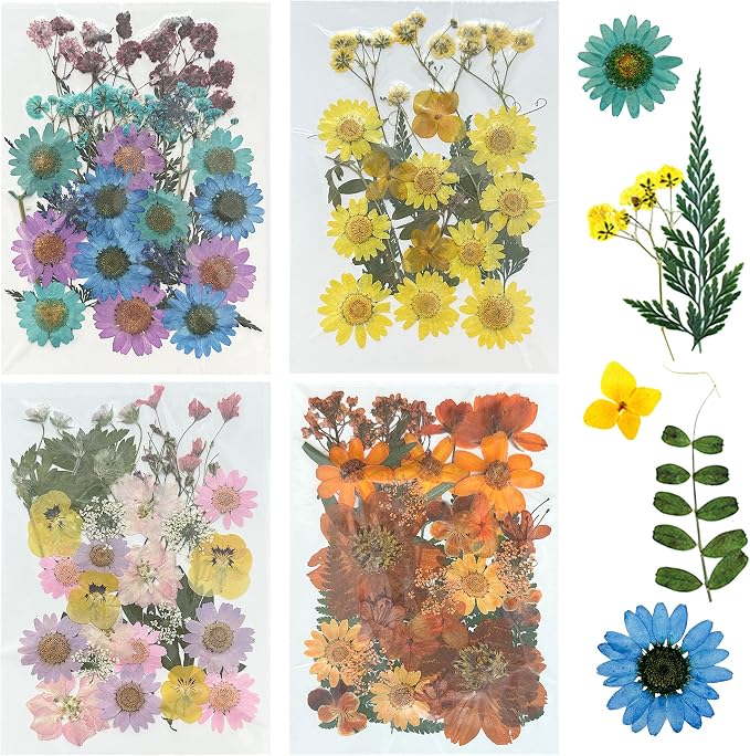 Woohome 110PCS Real Pressed Flowers, Dried Pressed Flowers Colorful Real by Woohome