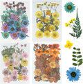 Woohome 110PCS Real Pressed Flowers, Dried Pressed Flowers Colorful Real by Woohome