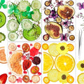 70PCS+ Nature Dried Pressed Fruits Flowers by YouthBro
