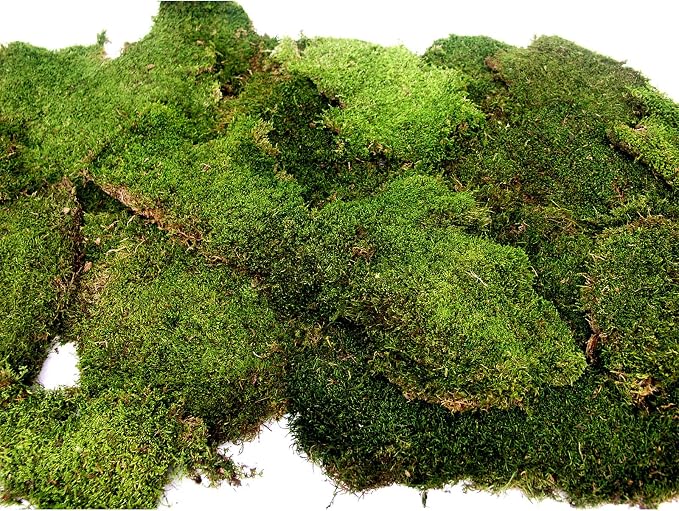 SuperMoss Sheet Moss – Flat Moss - Image 5