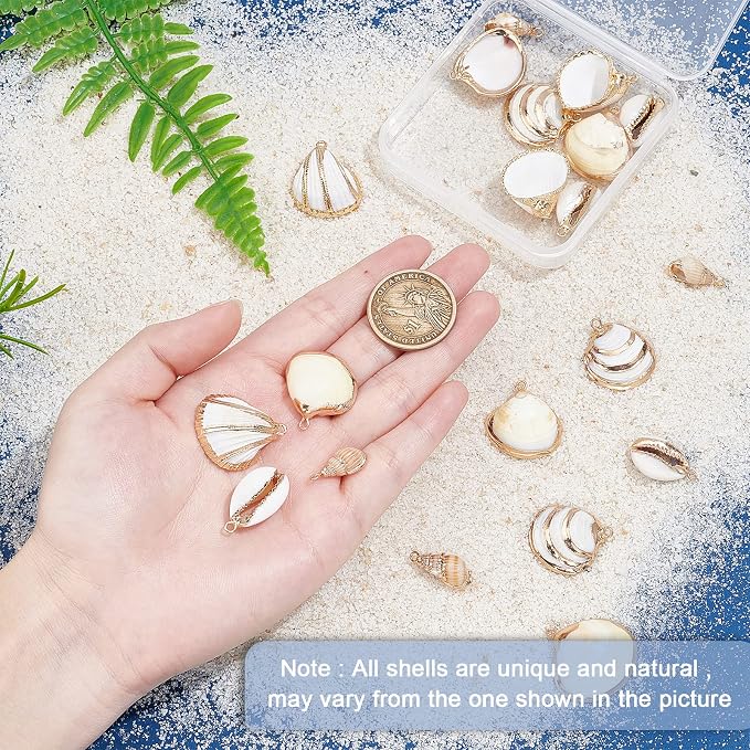 SUNNYCLUE 1 Box 20Pcs 5 Styles Freshwater Shell Charms Ocean Beach Cowrie - Image 3