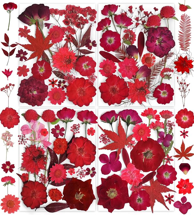 150PCS Red Dried Pressed Flowers by YouthBro