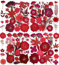 150PCS Red Dried Pressed Flowers by YouthBro