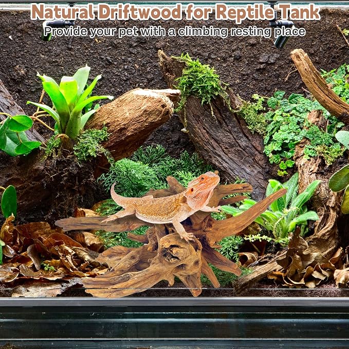PINVNBY Natural Driftwood for Aquarium Fish Tank Decorations Assorted Branches - Image 7
