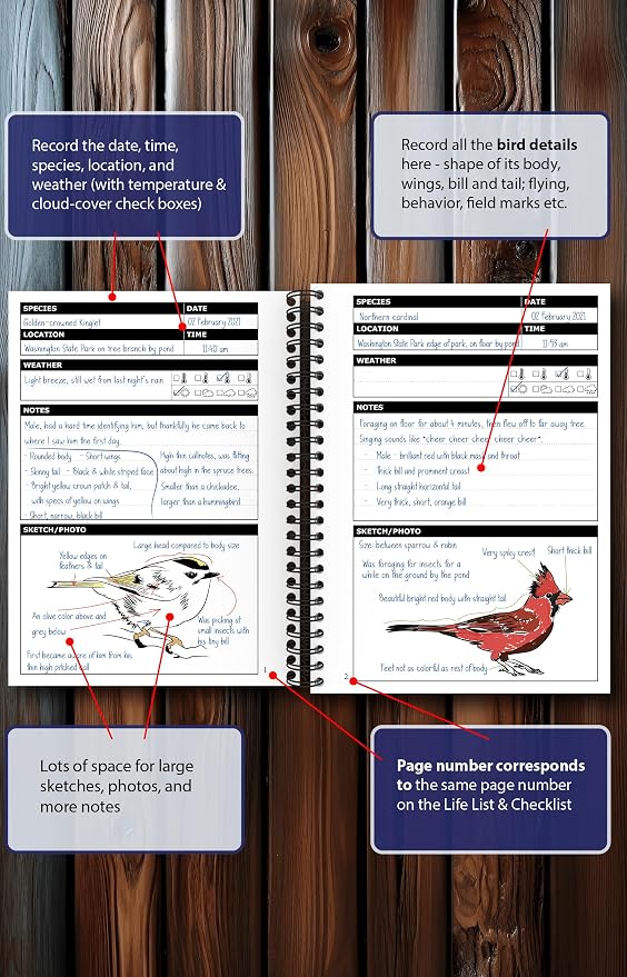 Birding Journal with Life List & Checklist A5 - Image 3