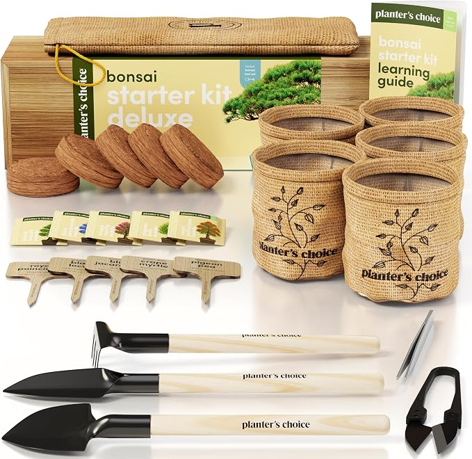 Planter's Choice Bonsai Tree Starter Kit - Image 9