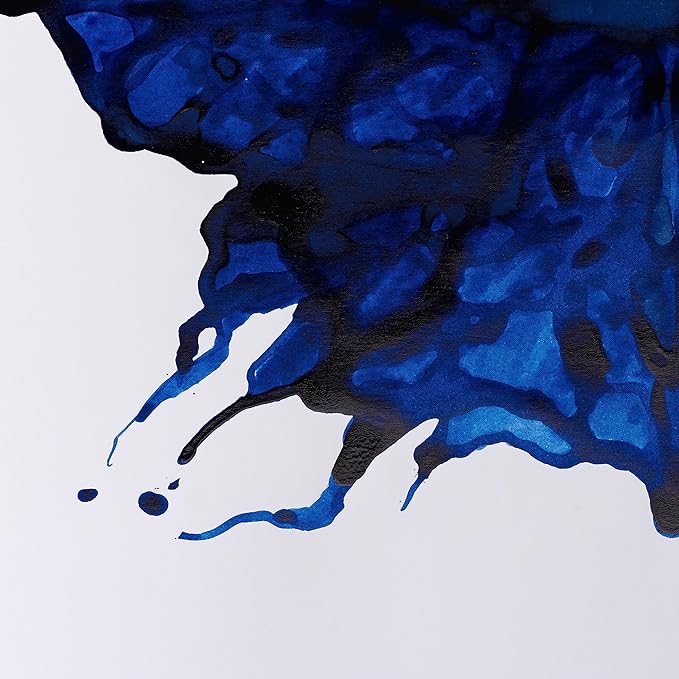 Winsor & Newton Collection Drawing Ink Set, William Collection - Image 3