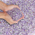 T4U Crystal Rocks for Aquarium, Amethyst Chips Pebbles for Plants 2 lb | by T4U