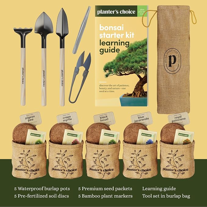 Planter's Choice Bonsai Tree Starter Kit - Image 4