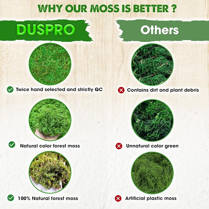DUSPRO Green Forest Moss for Crafts, Real Dried Decorative Moss, 5 oz | Indoor - Image 3