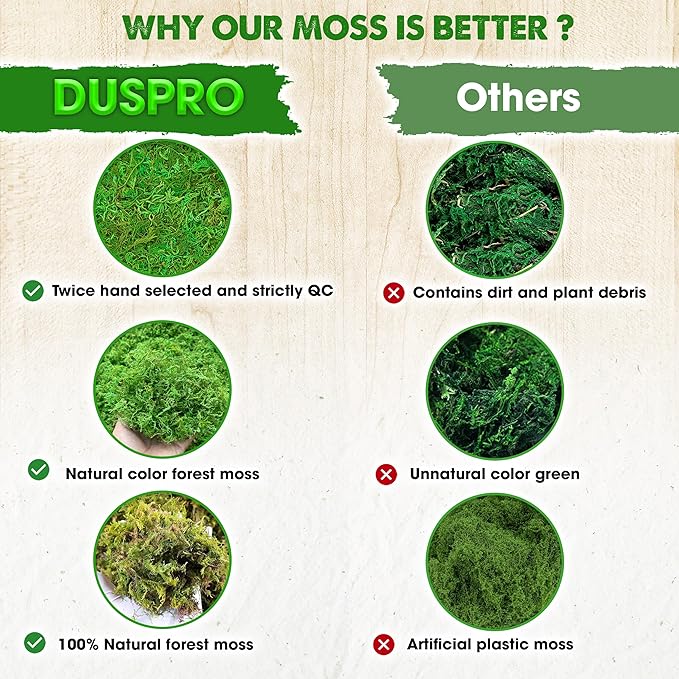 DUSPRO Green Forest Moss for Crafts, Real Dried Decorative Moss, 10 oz | Indoor - Image 3