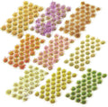 Redbaker 288 Pcs Static Grass Tuft Flower Cluster Vegetation Groups Self by Redbaker