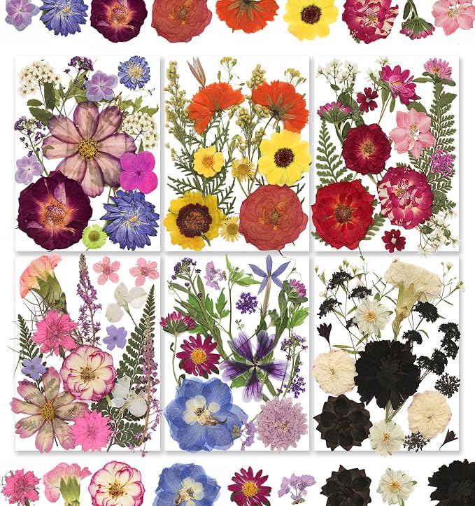 140Pcs Multi-Style Dried Pressed Flowers & Leaves by Unknown