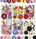 140Pcs Multi-Style Dried Pressed Flowers & Leaves by Unknown