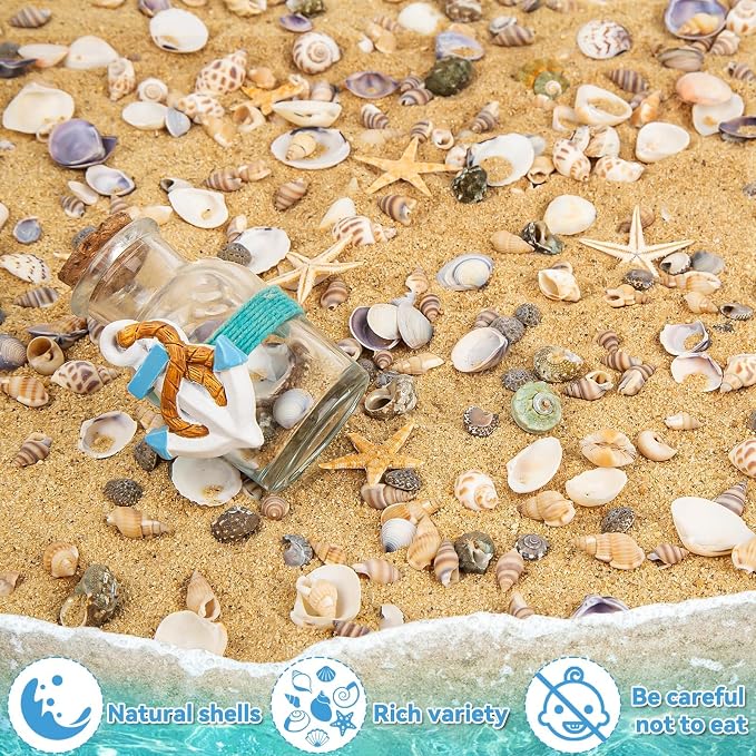 Tiny Sea Shells & 6 Starfish Decor Mixed Ocean Beach Spiral Seashells - Image 2