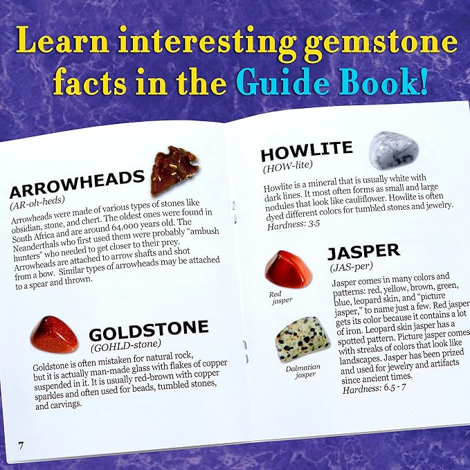 DANCING BEAR Gem stone Dig Kit, Excavate 16 Real Gems & Crystals including - Image 7
