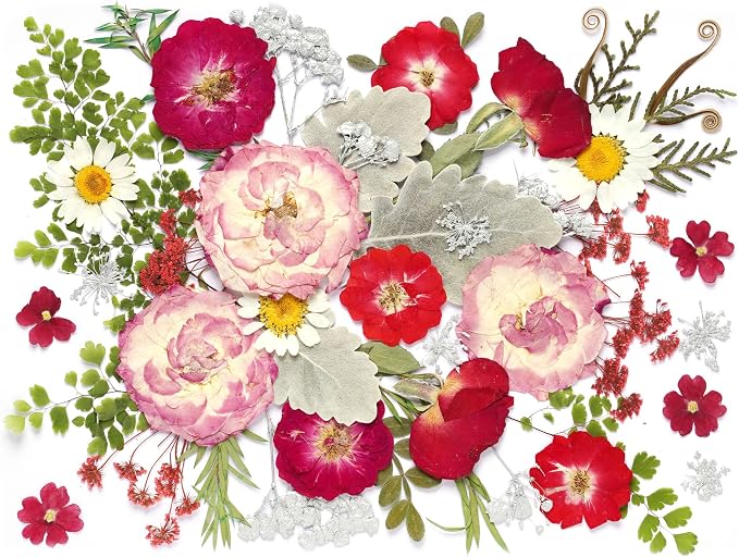 48 Pcs Mix Natural Dried Pressed Flowers by AHTONG