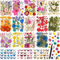 Dried Flowers for Crafts, Card Making, Nail Art, Scrapbooking by Cruzix