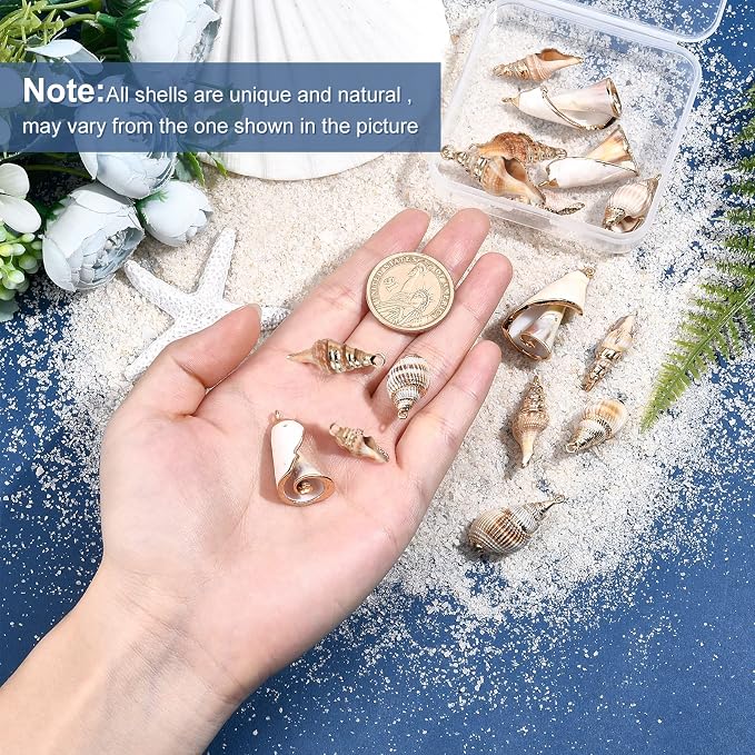 SUNNYCLUE 1 Box 16Pcs 4 Style Electroplate Spiral Seashells Craft Charms - Image 3