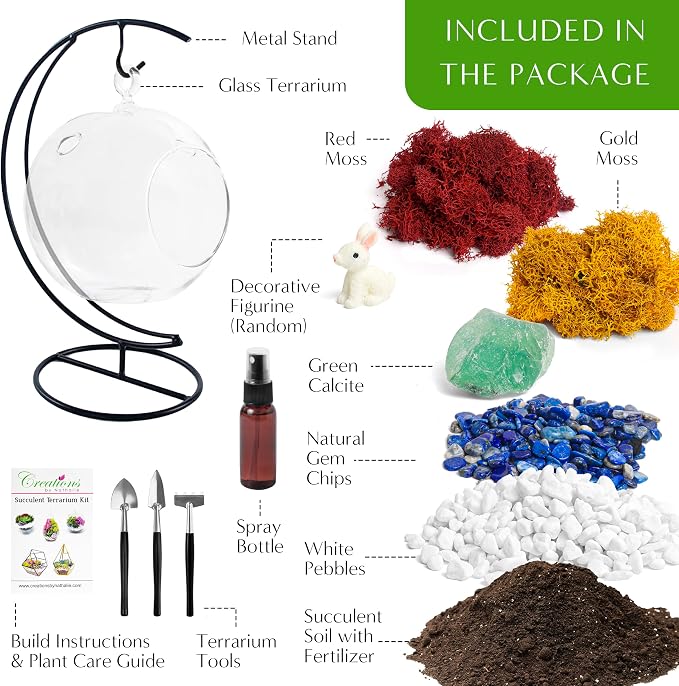 Creations by Nathalie DIY 5" DIY Globe Terrarium Kit - Image 3